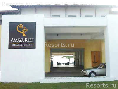 Amaya Reef 2